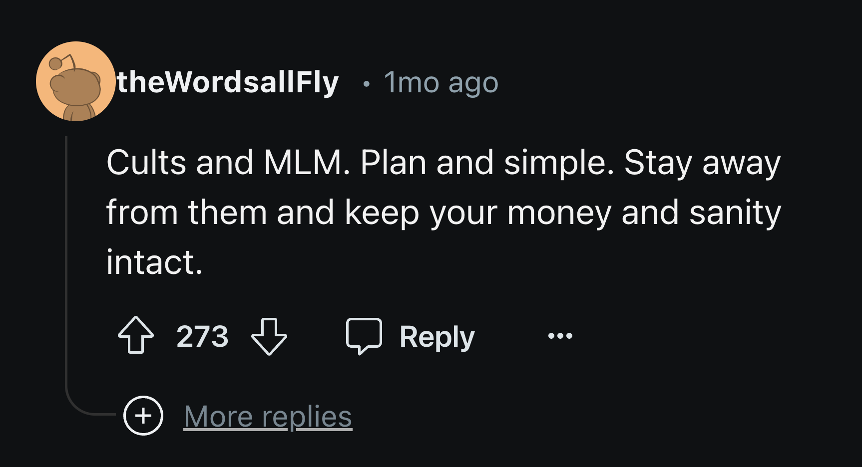 screenshot - theWordsallFly 1mo ago Cults and Mlm. Plan and simple. Stay away from them and keep your money and sanity intact. 273 More replies